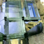 catacaombe san callisto